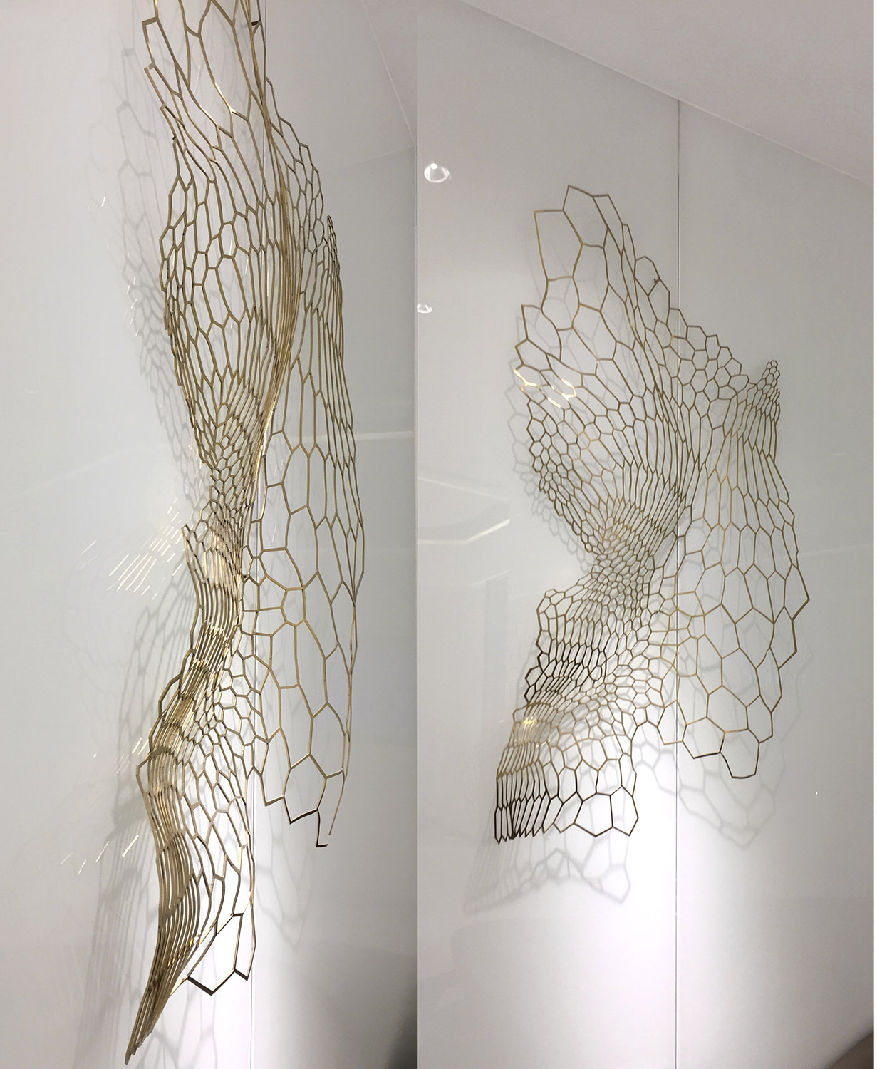 冠昊生命体验中心