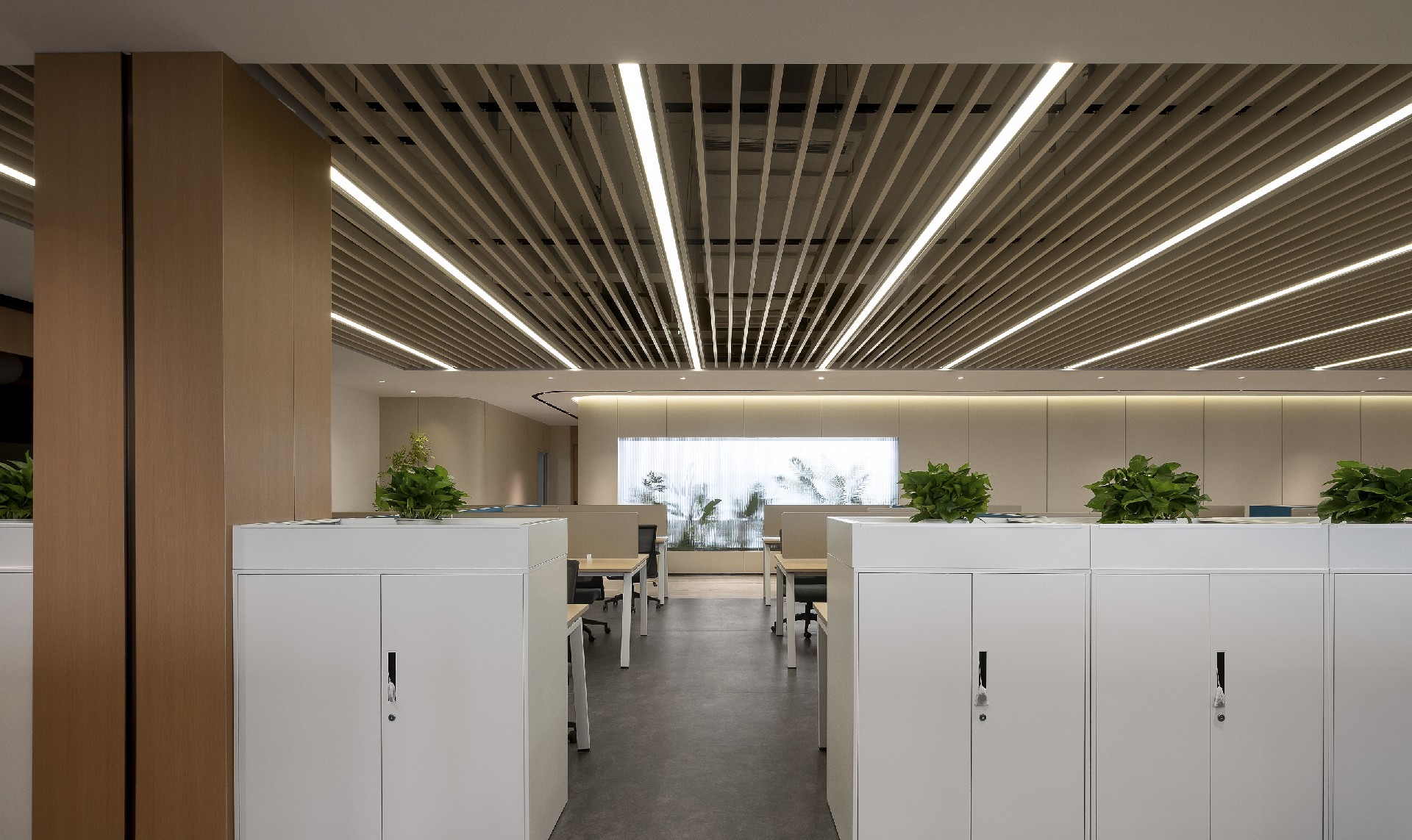 南芯科技成都职场